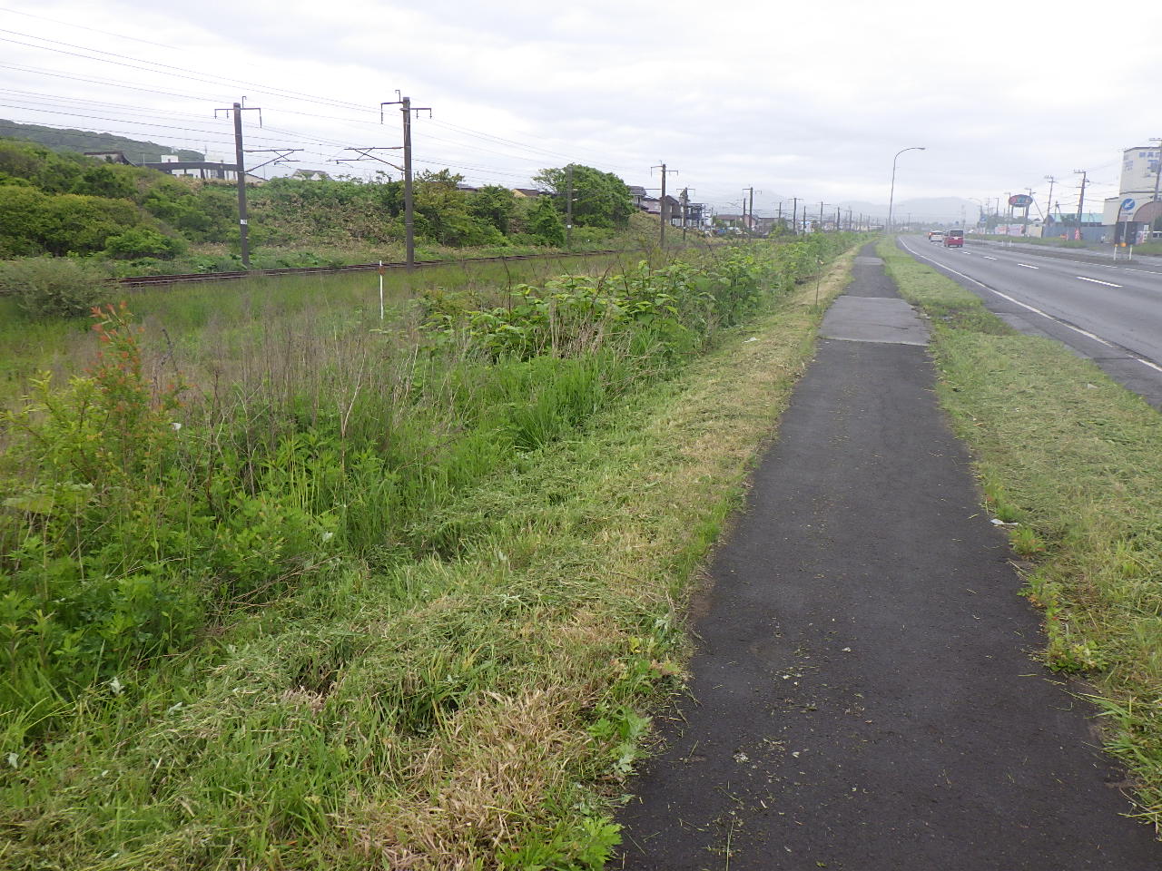 機械除草工/登別市大和町